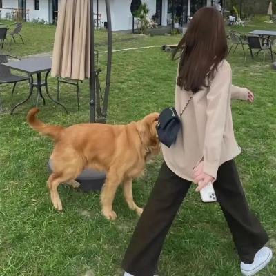 当福音再临